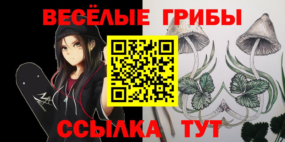 Галлюциногенные грибы MAGIC MUSHROOMS  Вход с VPN  Соль-Илецк  Галлюциногенные грибы мухоморы 